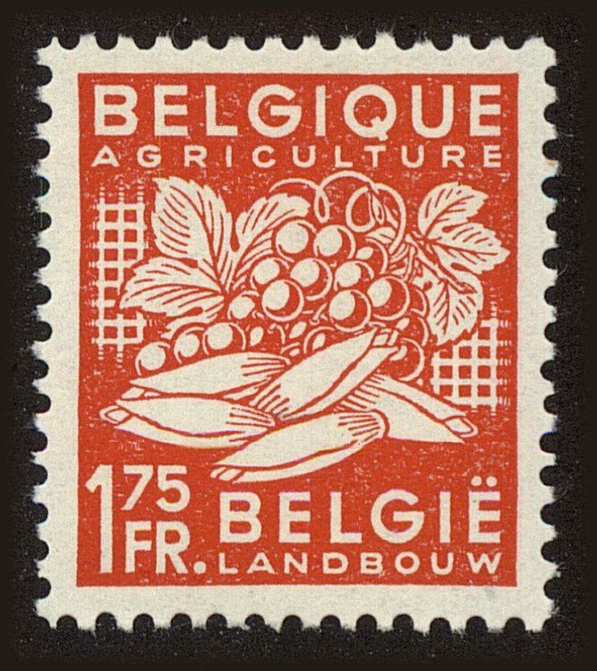 Front view of Belgium 377 collectors stamp