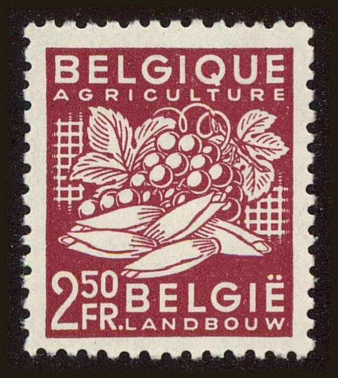 Front view of Belgium 380 collectors stamp