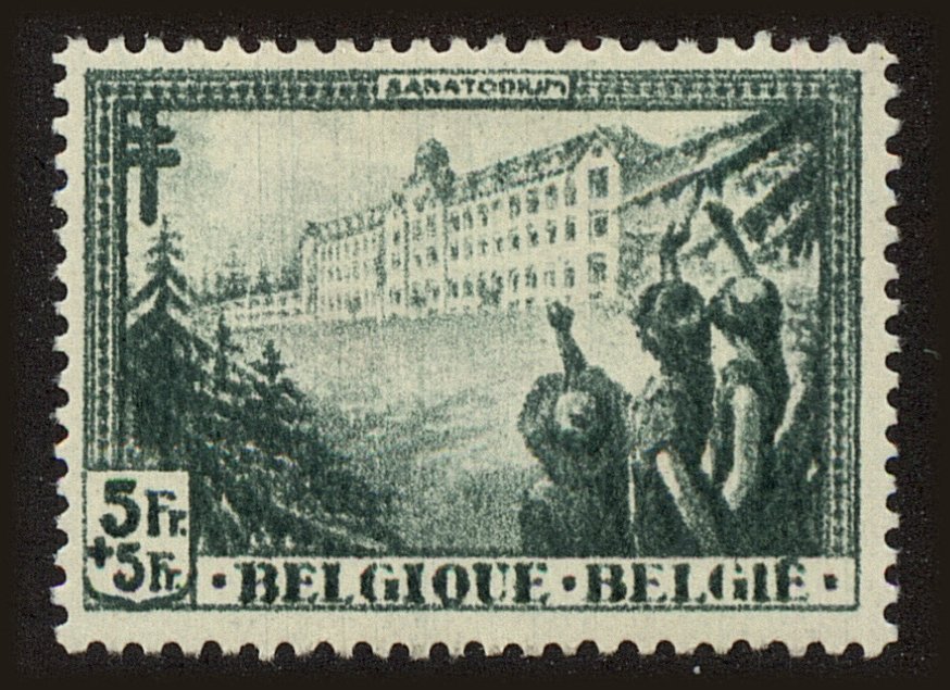 Front view of Belgium B131 collectors stamp