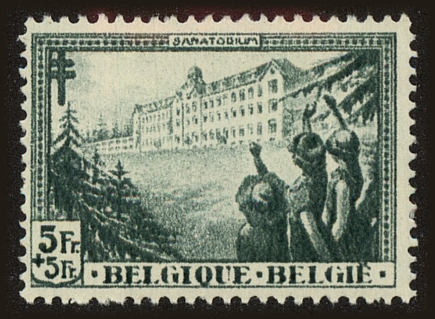 Front view of Belgium B131 collectors stamp