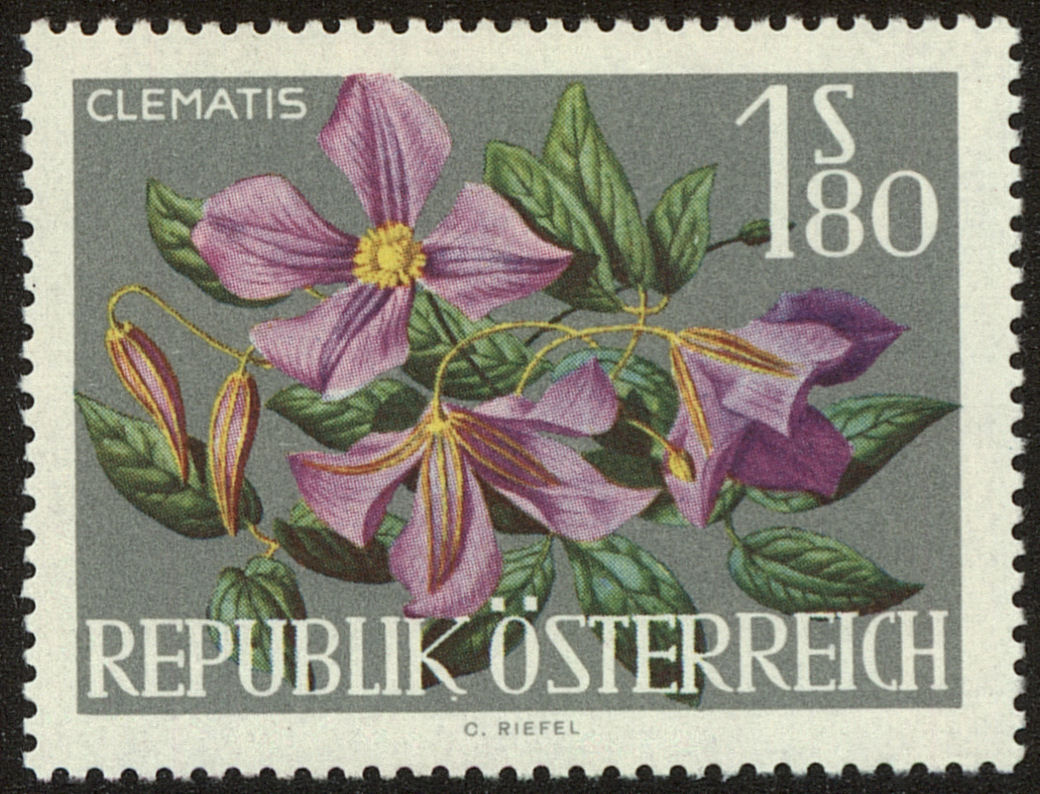 Front view of Austria 721 collectors stamp
