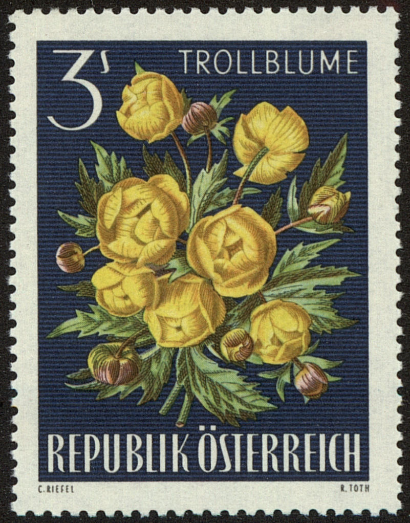 Front view of Austria 767 collectors stamp