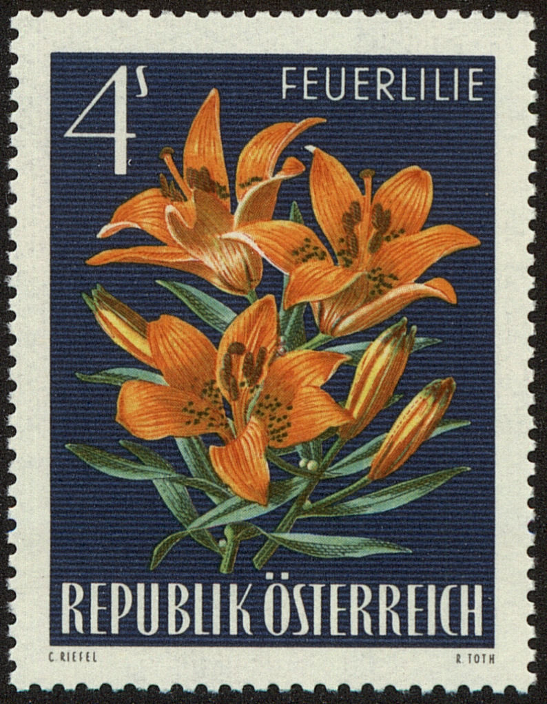 Front view of Austria 768 collectors stamp