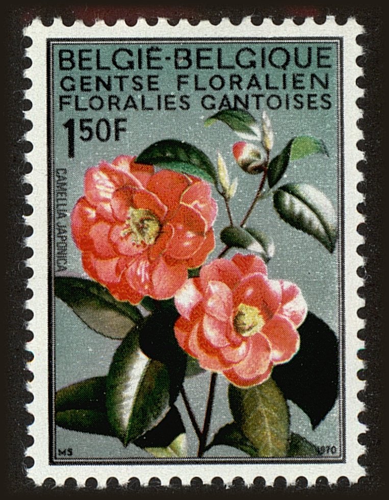 Front view of Belgium 734 collectors stamp
