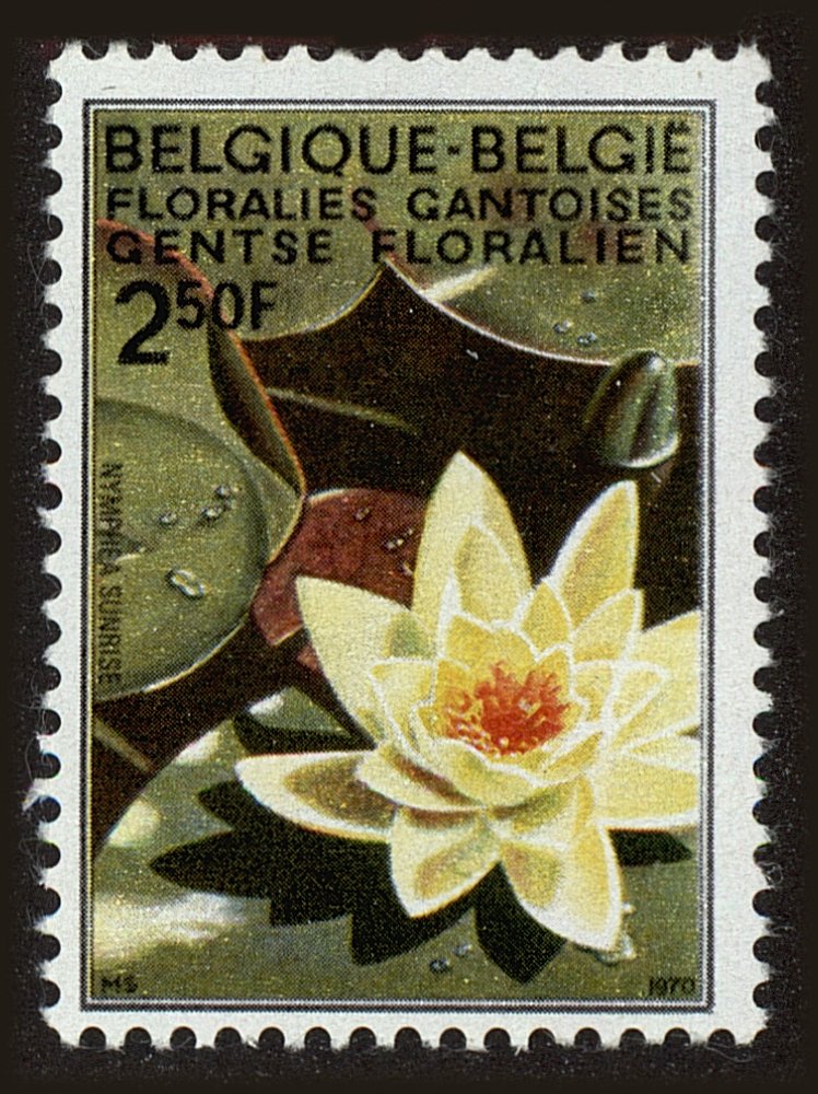Front view of Belgium 735 collectors stamp