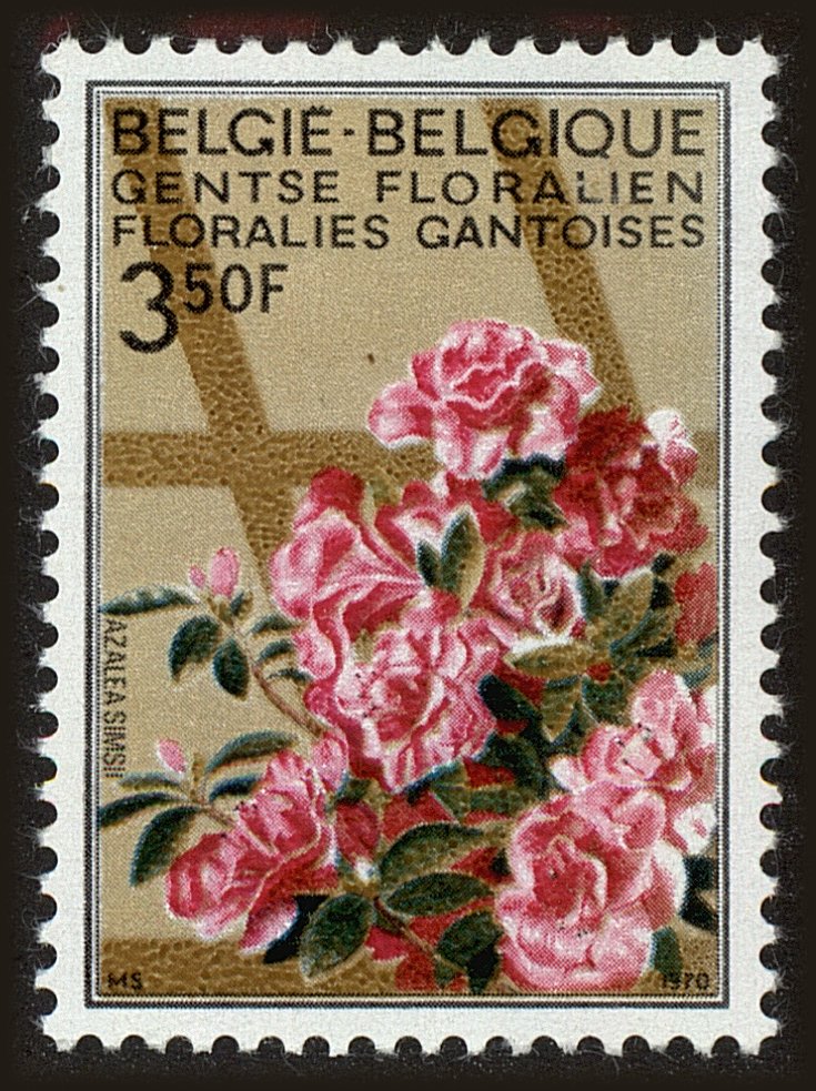 Front view of Belgium 736 collectors stamp