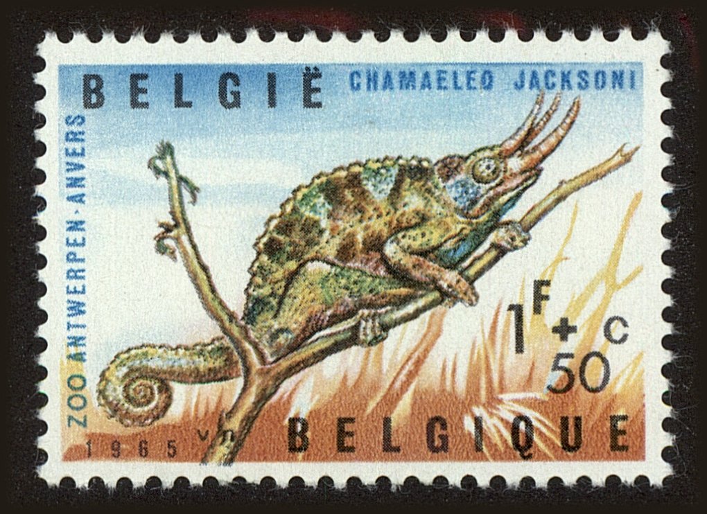 Front view of Belgium B779 collectors stamp