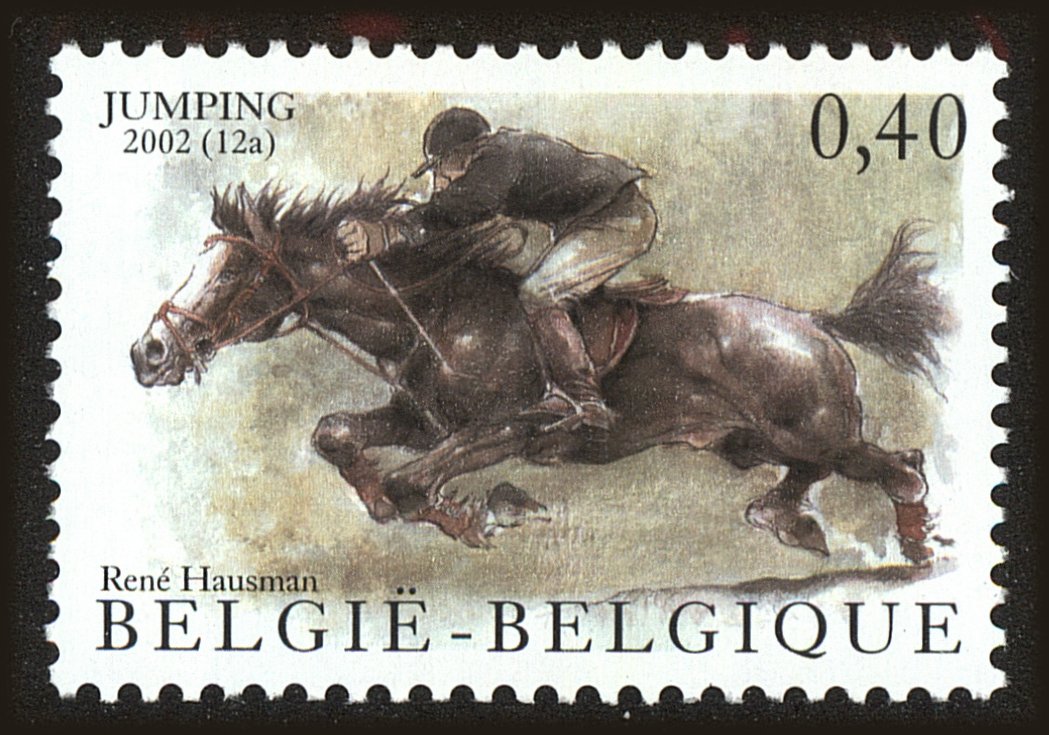Front view of Belgium 1919 collectors stamp
