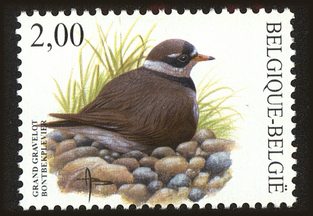 Front view of Belgium 1915 collectors stamp