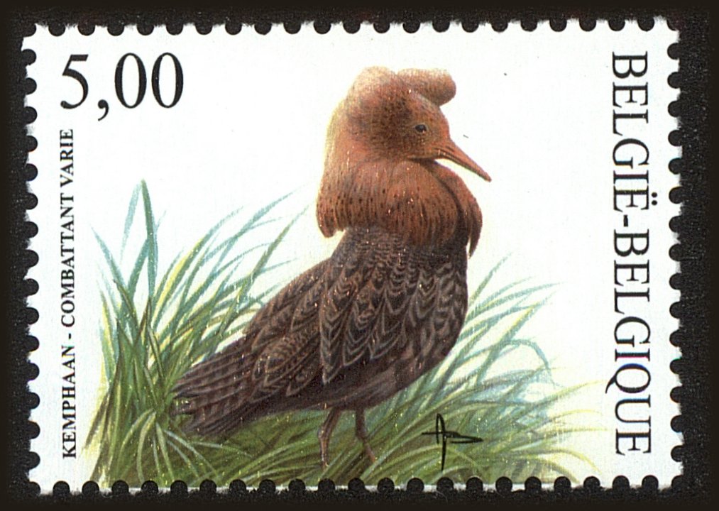 Front view of Belgium 1916 collectors stamp