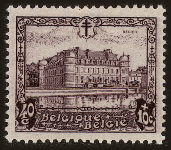 Front view of Belgium B101 collectors stamp