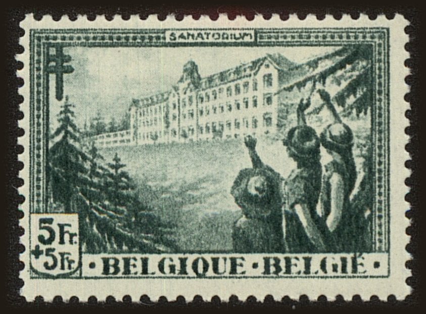 Front view of Belgium B131 collectors stamp