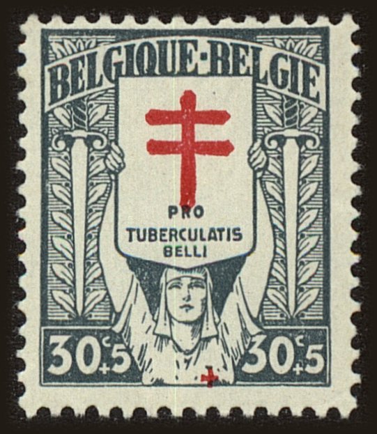 Front view of Belgium B54 collectors stamp