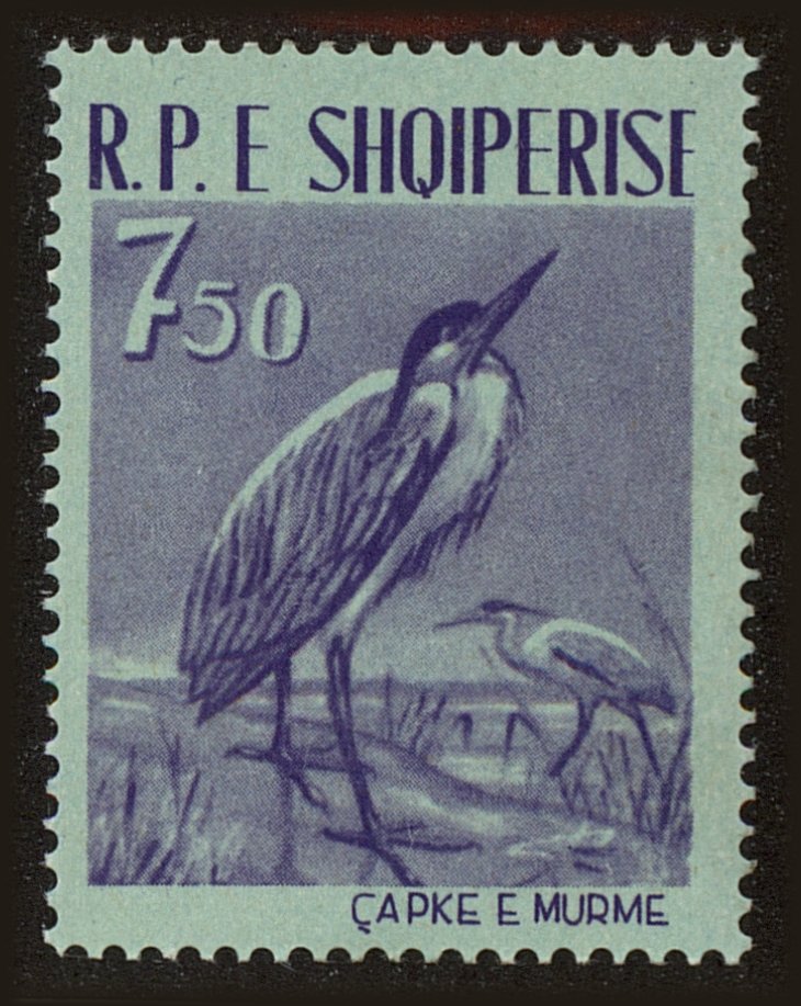 Front view of Albania 593 collectors stamp
