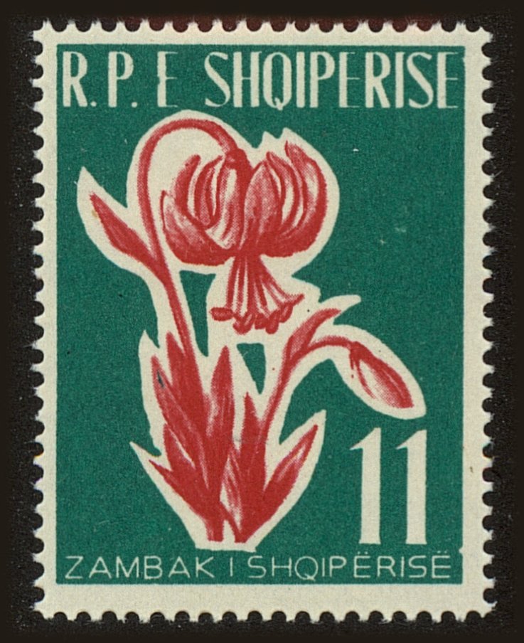 Front view of Albania 597 collectors stamp