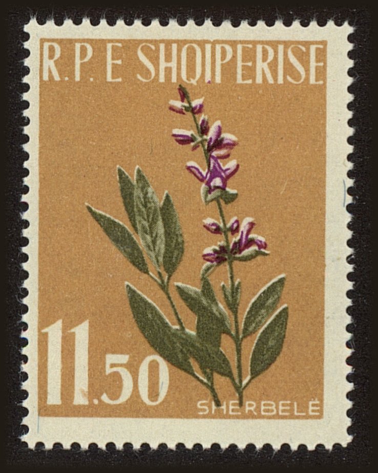 Front view of Albania 615 collectors stamp