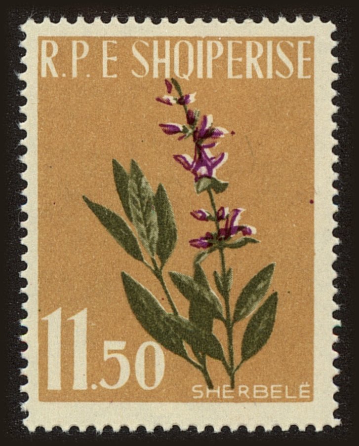 Front view of Albania 615 collectors stamp