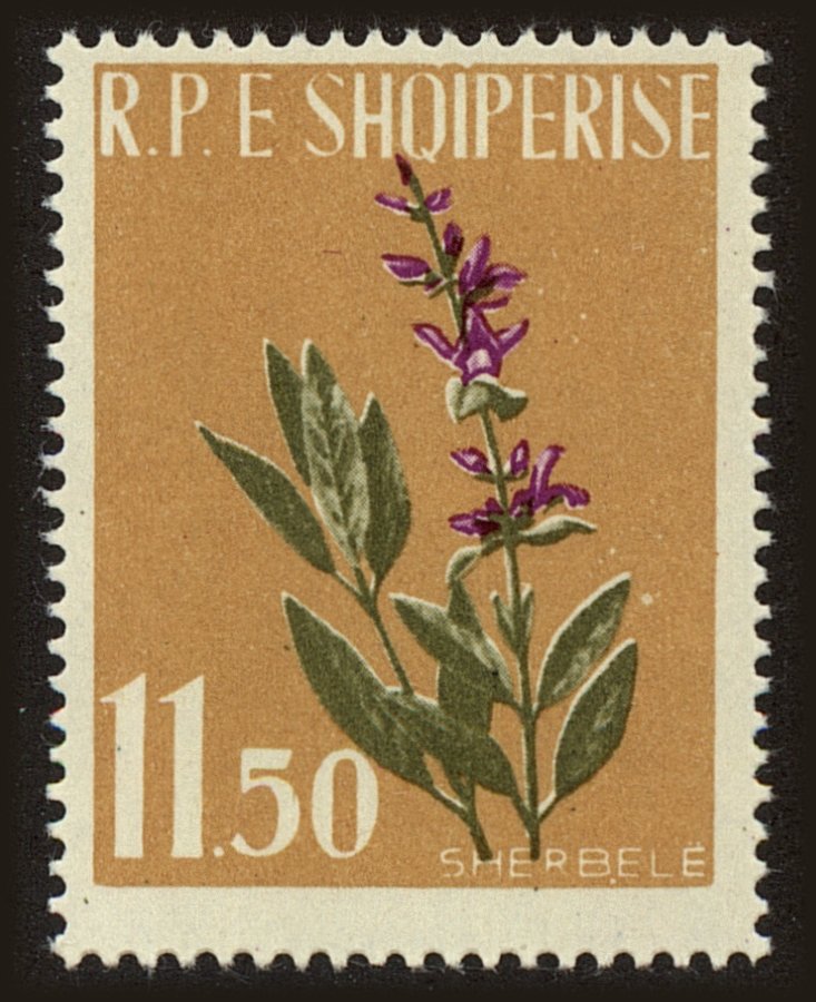 Front view of Albania 615 collectors stamp