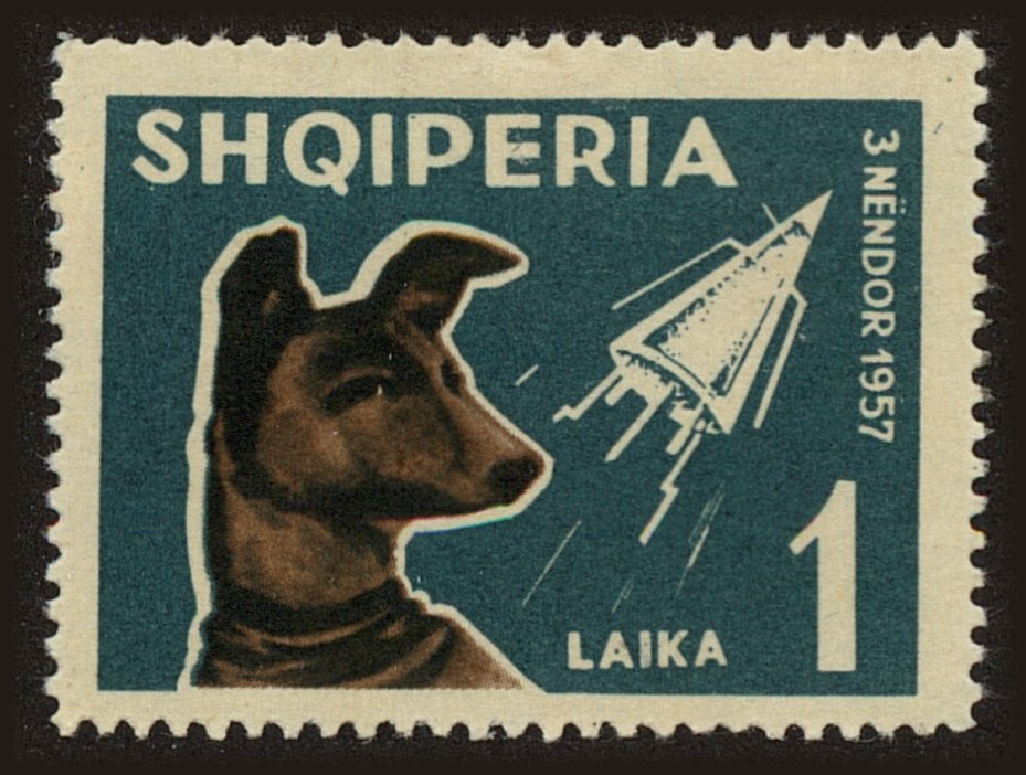 Front view of Albania 622 collectors stamp