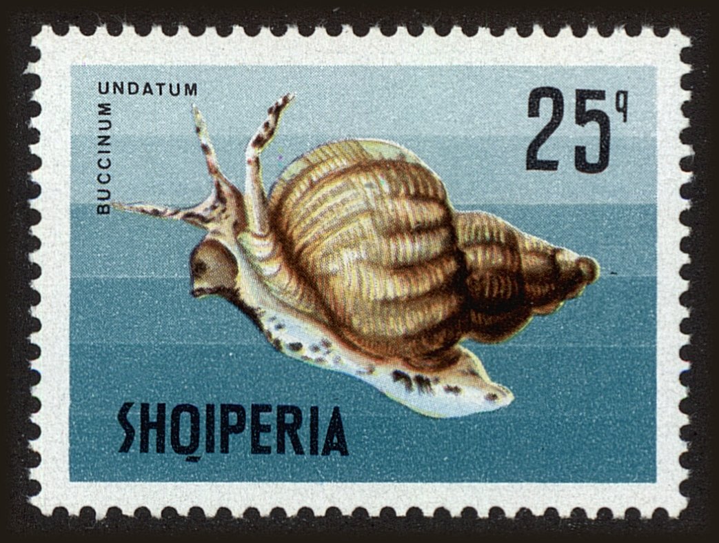 Front view of Albania 1172 collectors stamp
