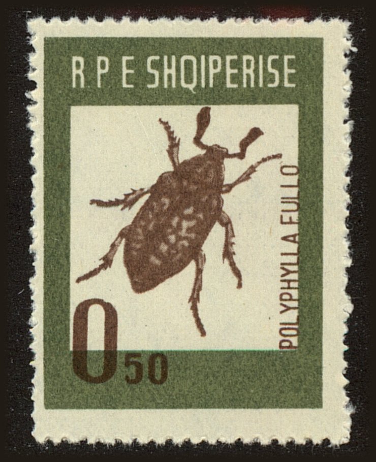 Front view of Albania 660 collectors stamp