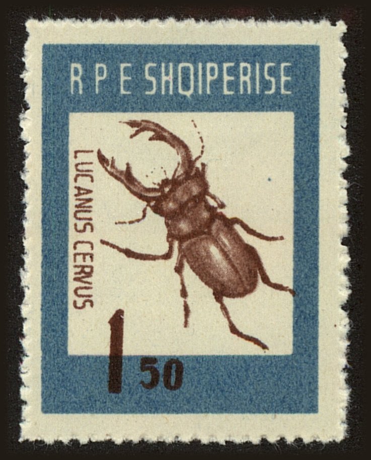 Front view of Albania 661 collectors stamp