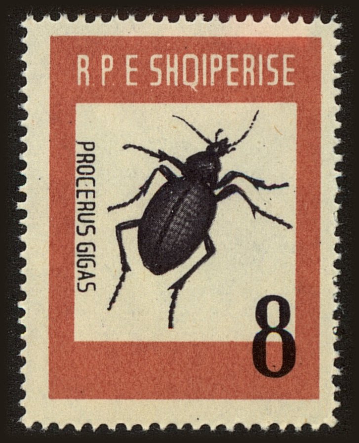 Front view of Albania 662 collectors stamp