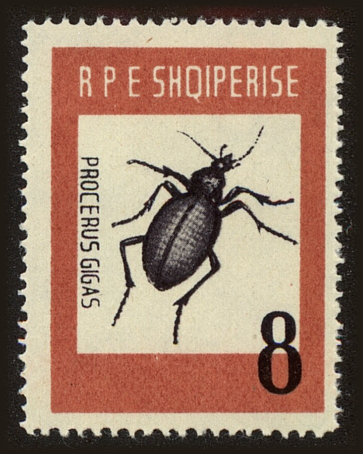 Front view of Albania 662 collectors stamp