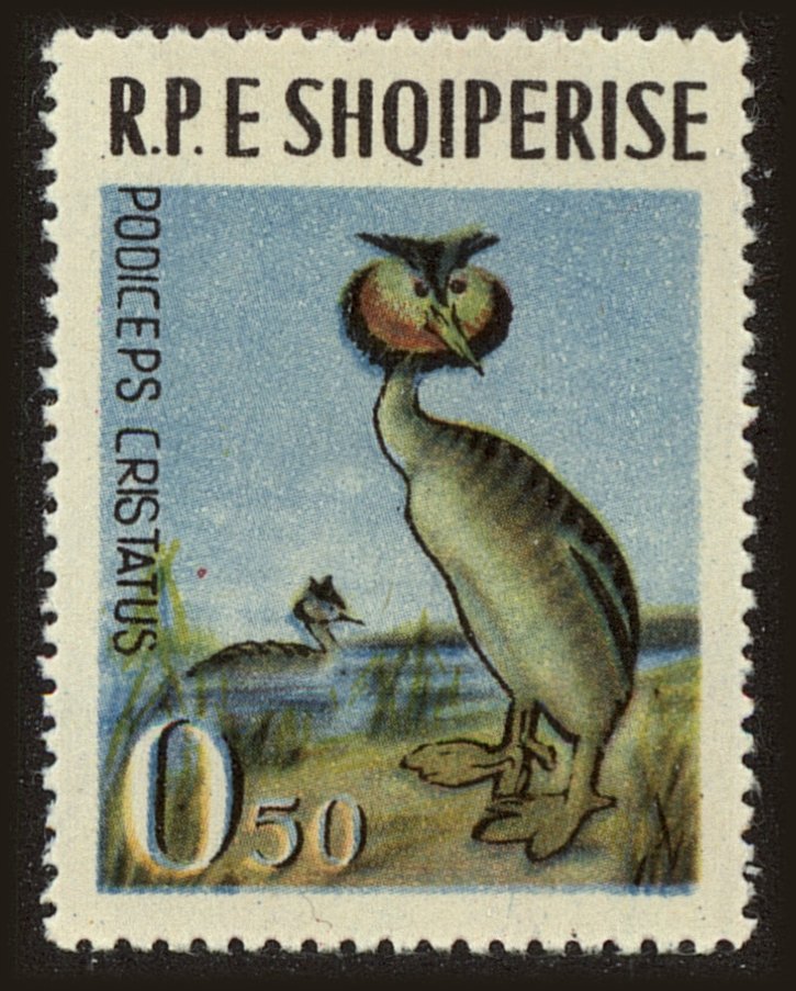 Front view of Albania 672 collectors stamp