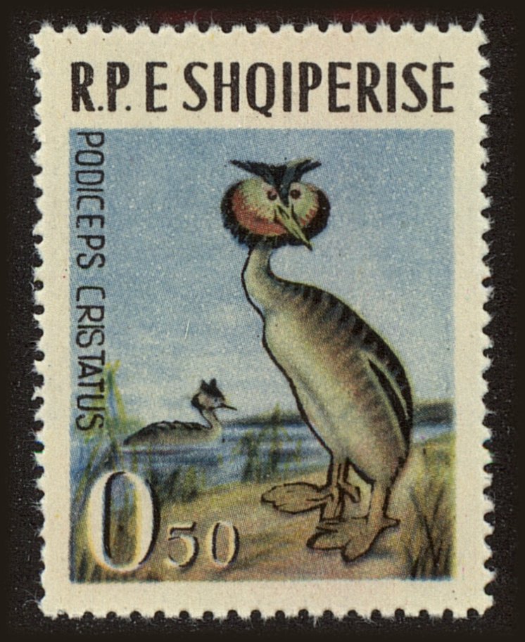 Front view of Albania 672 collectors stamp