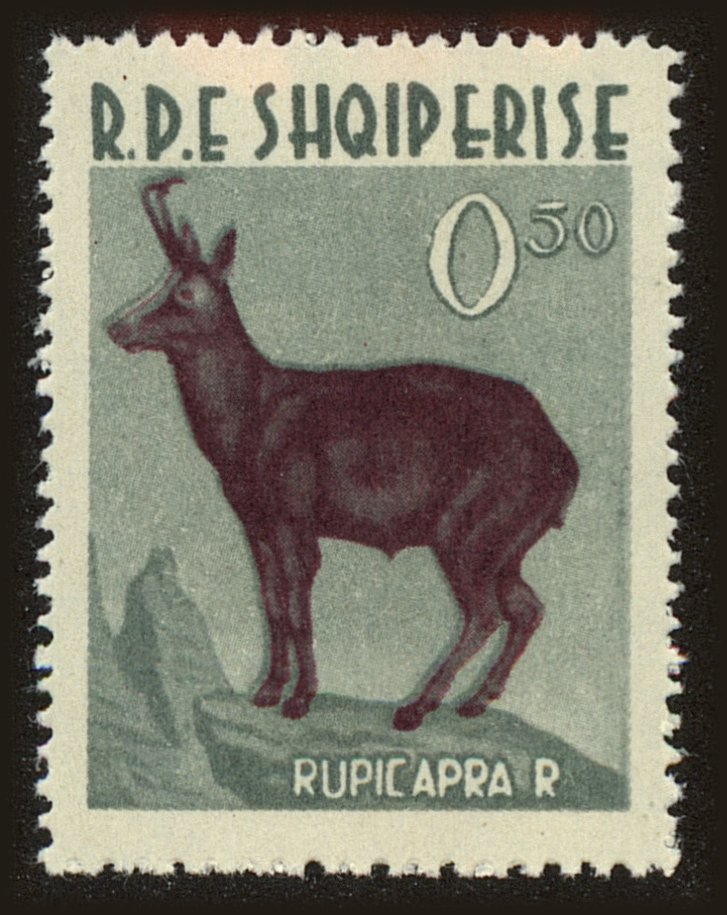 Front view of Albania 639 collectors stamp