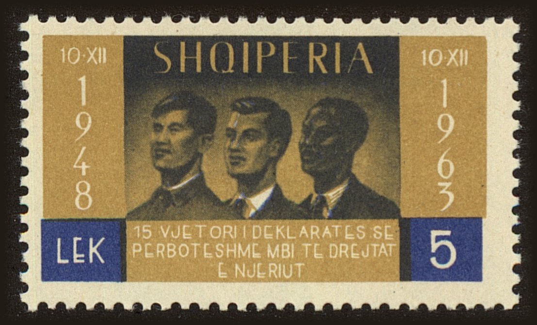 Front view of Albania 704 collectors stamp