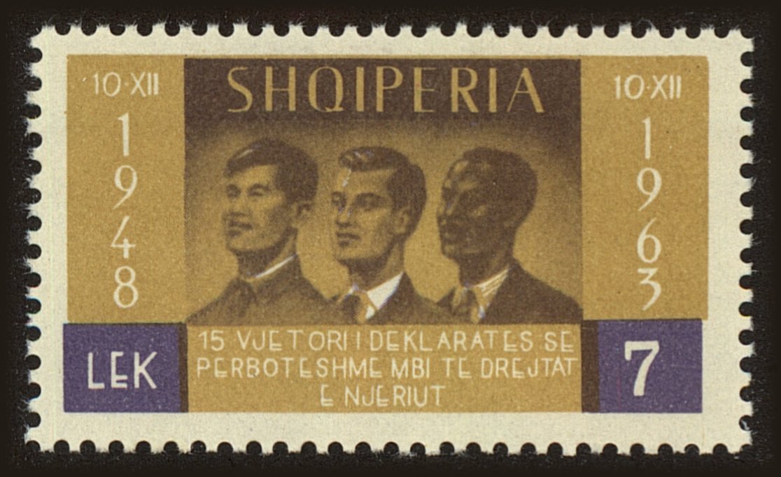 Front view of Albania 705 collectors stamp