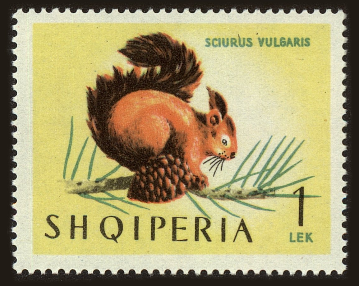 Front view of Albania 722 collectors stamp