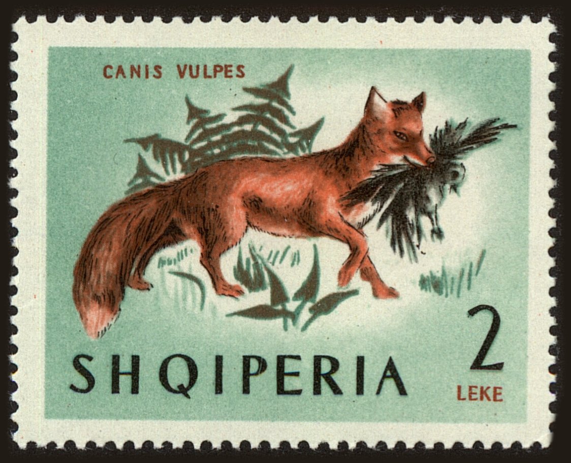 Front view of Albania 724 collectors stamp