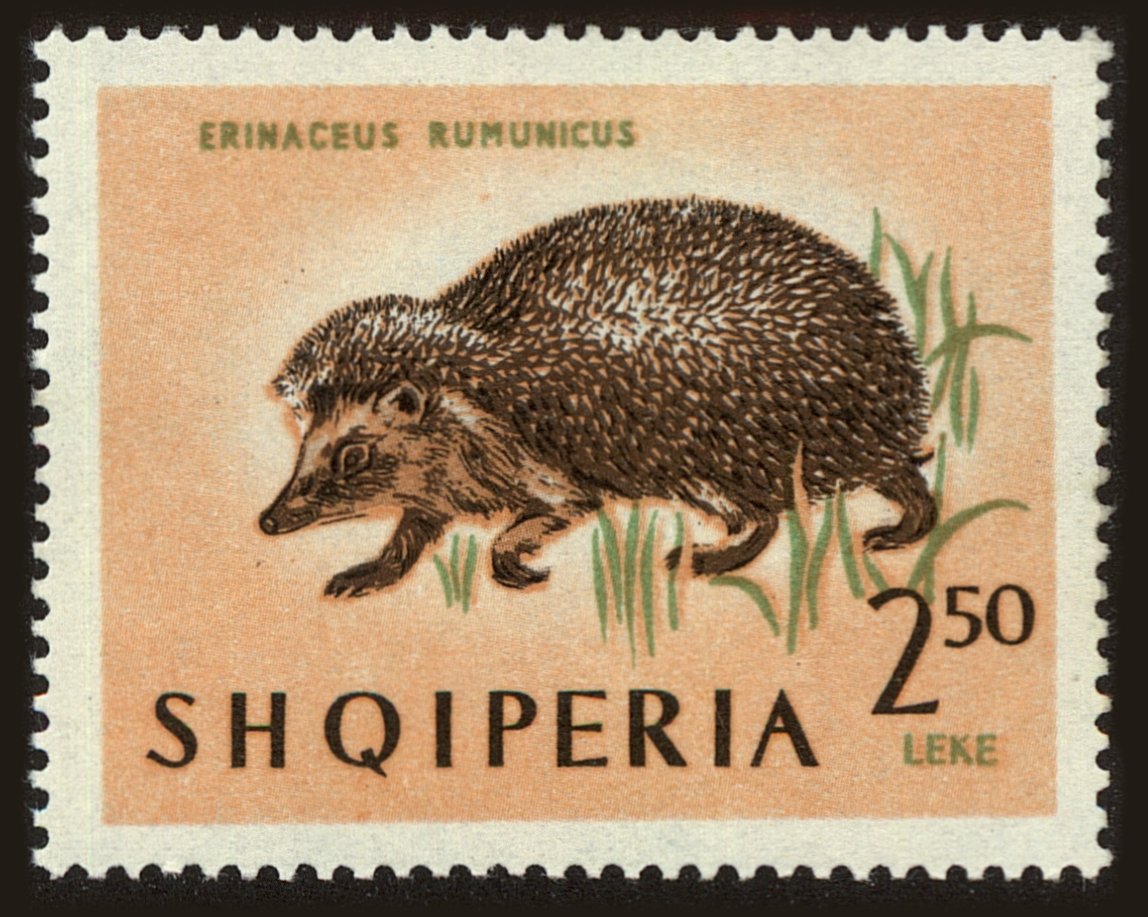 Front view of Albania 725 collectors stamp