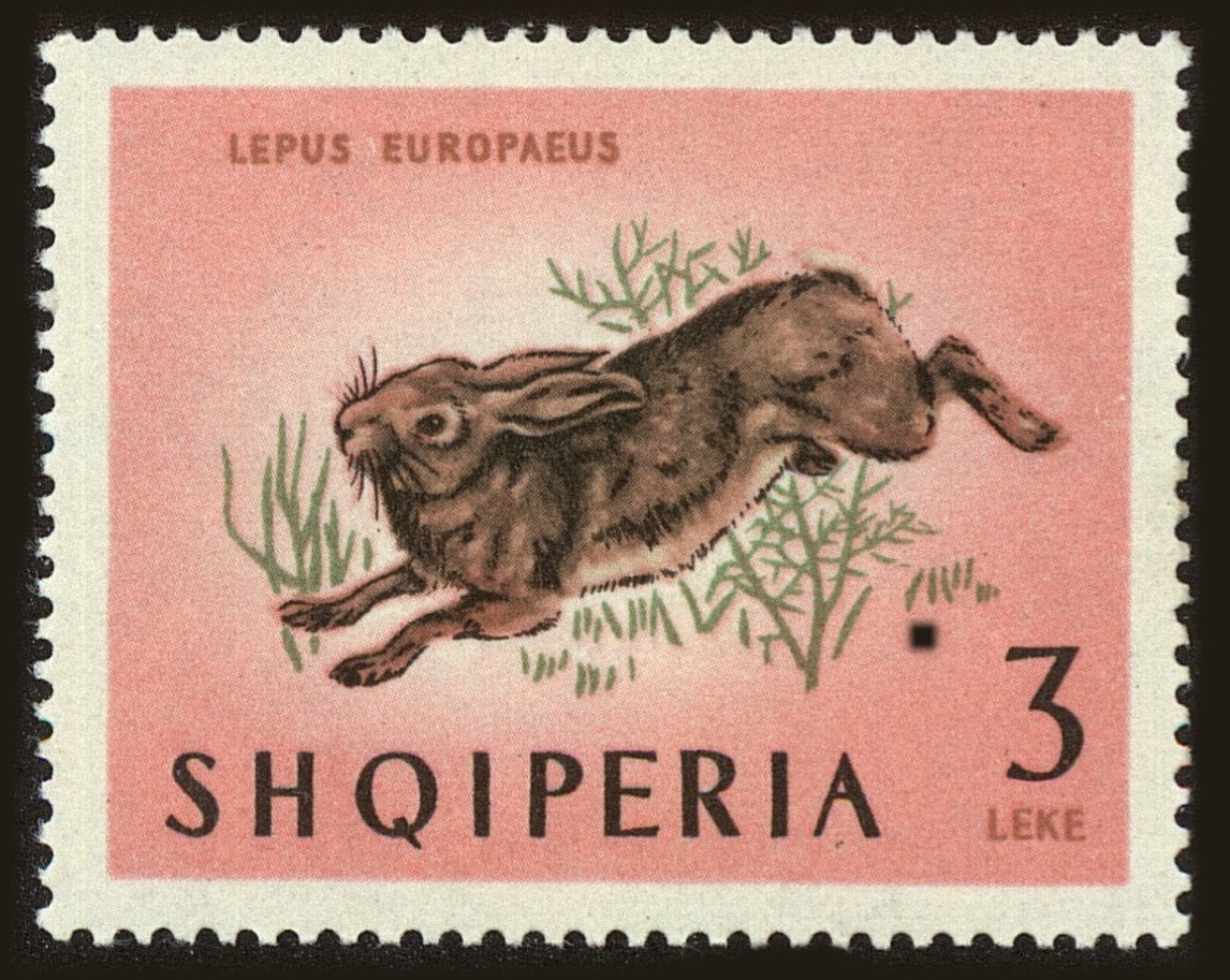 Front view of Albania 726 collectors stamp