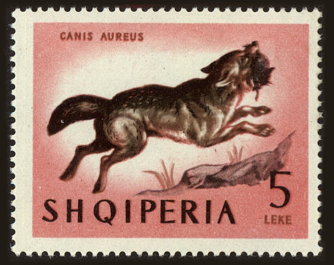 Front view of Albania 727 collectors stamp