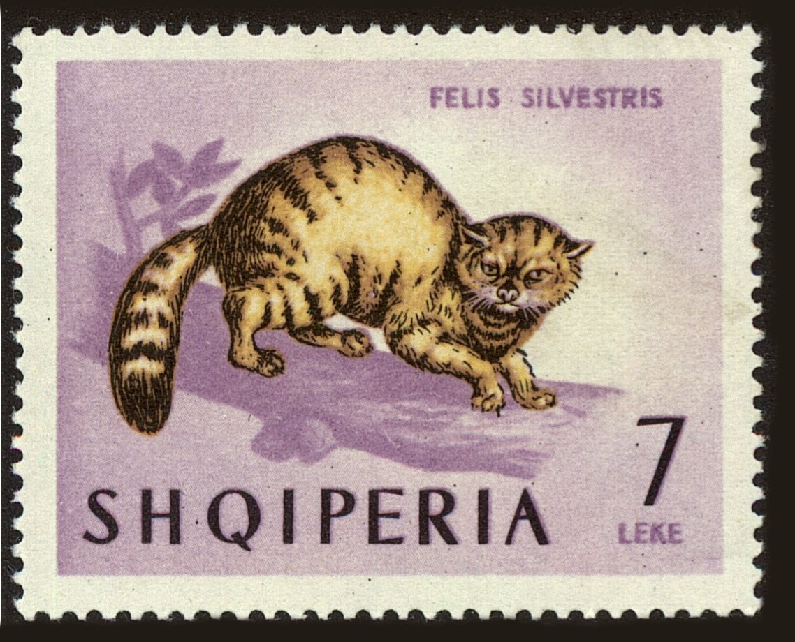 Front view of Albania 728 collectors stamp