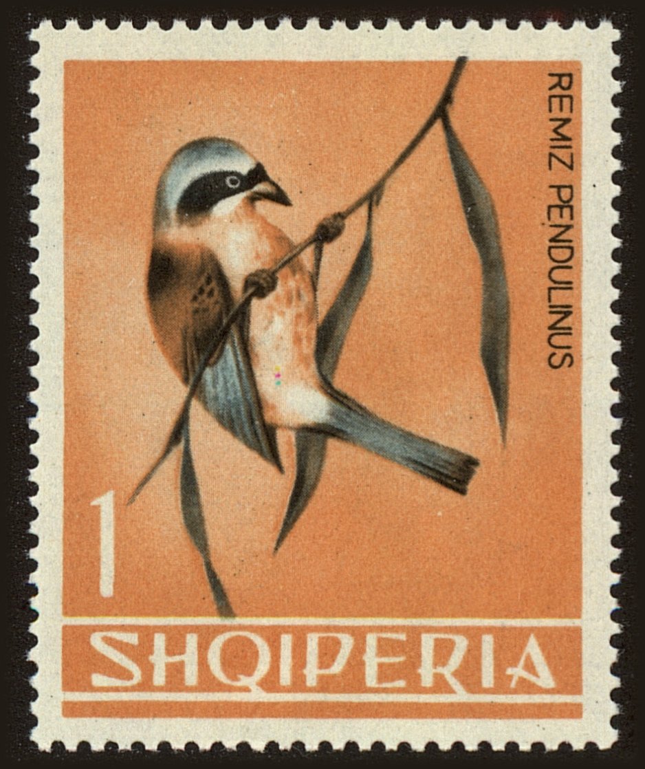 Front view of Albania 747 collectors stamp