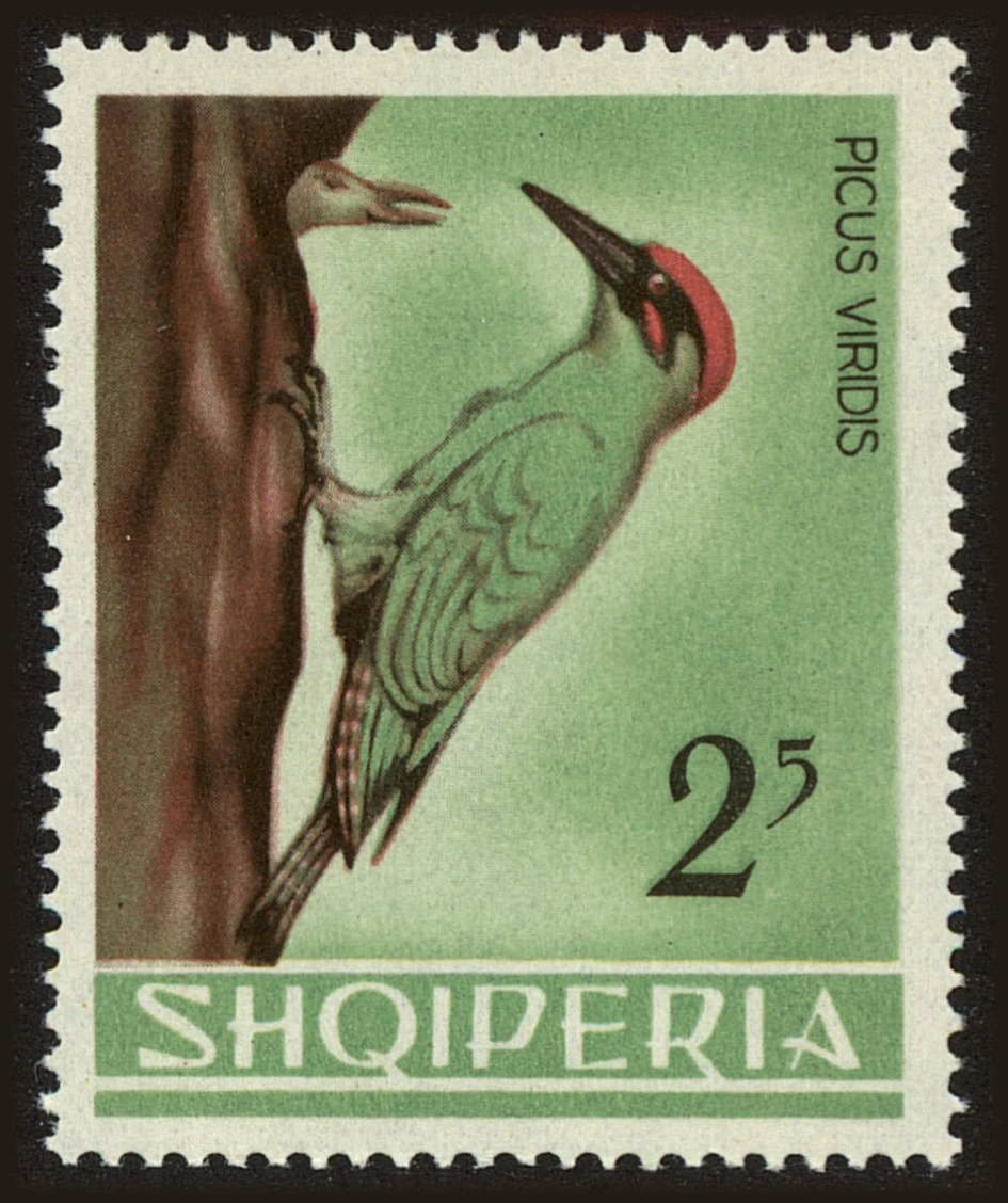 Front view of Albania 748 collectors stamp
