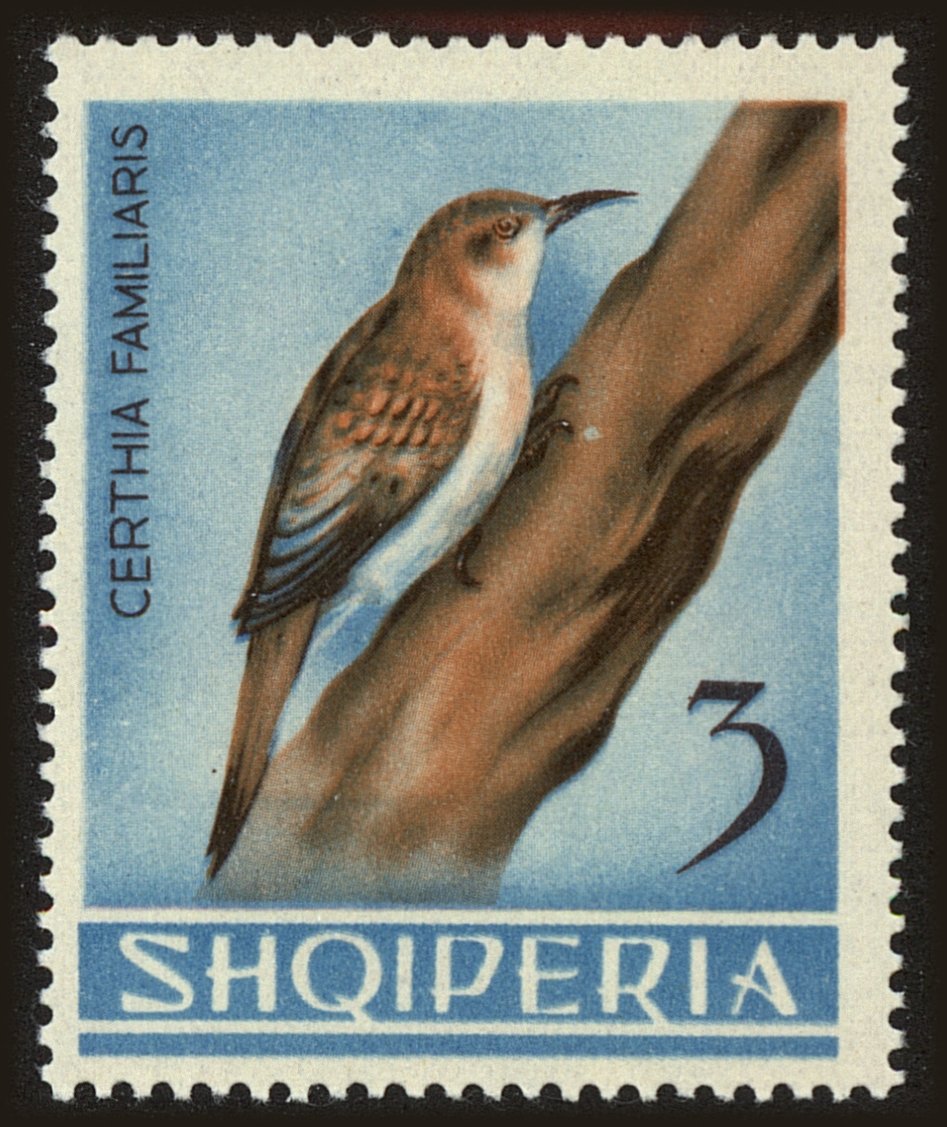 Front view of Albania 749 collectors stamp