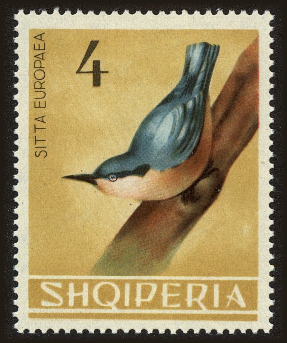 Front view of Albania 750 collectors stamp