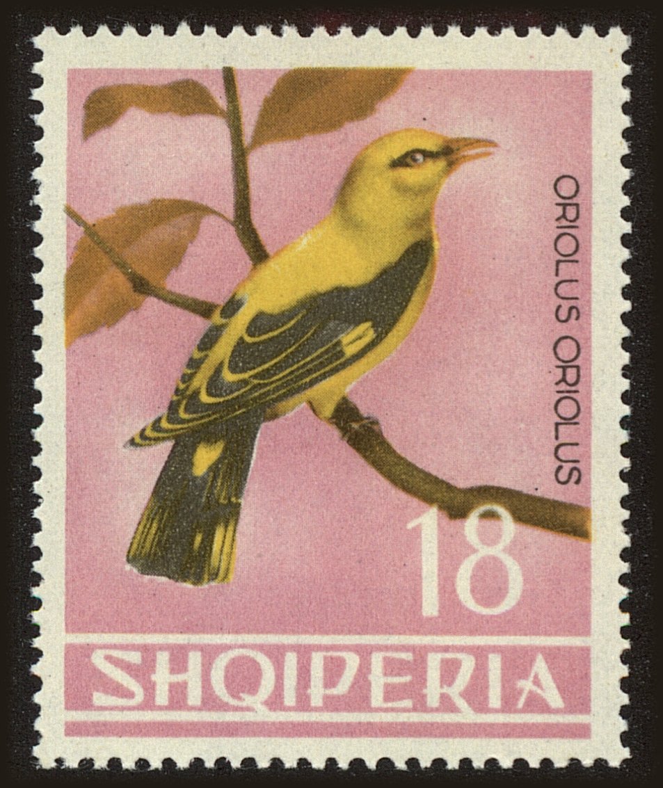 Front view of Albania 753 collectors stamp
