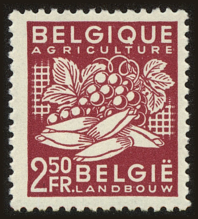 Front view of Belgium 380 collectors stamp