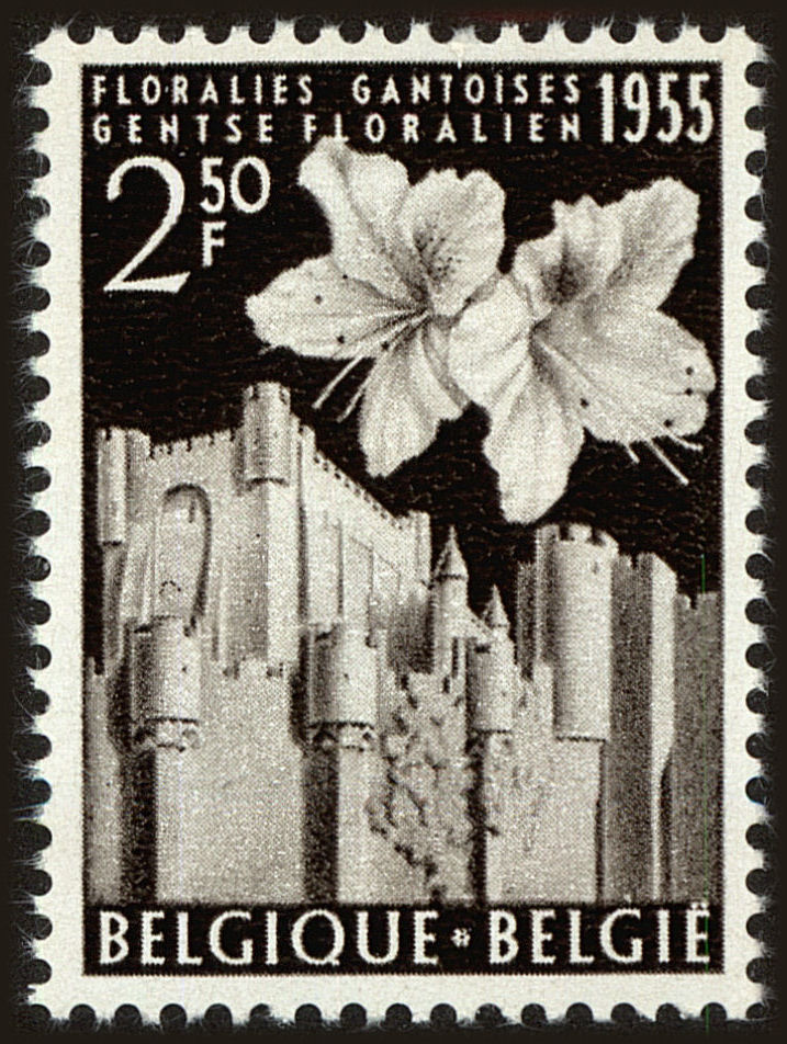 Front view of Belgium 483 collectors stamp