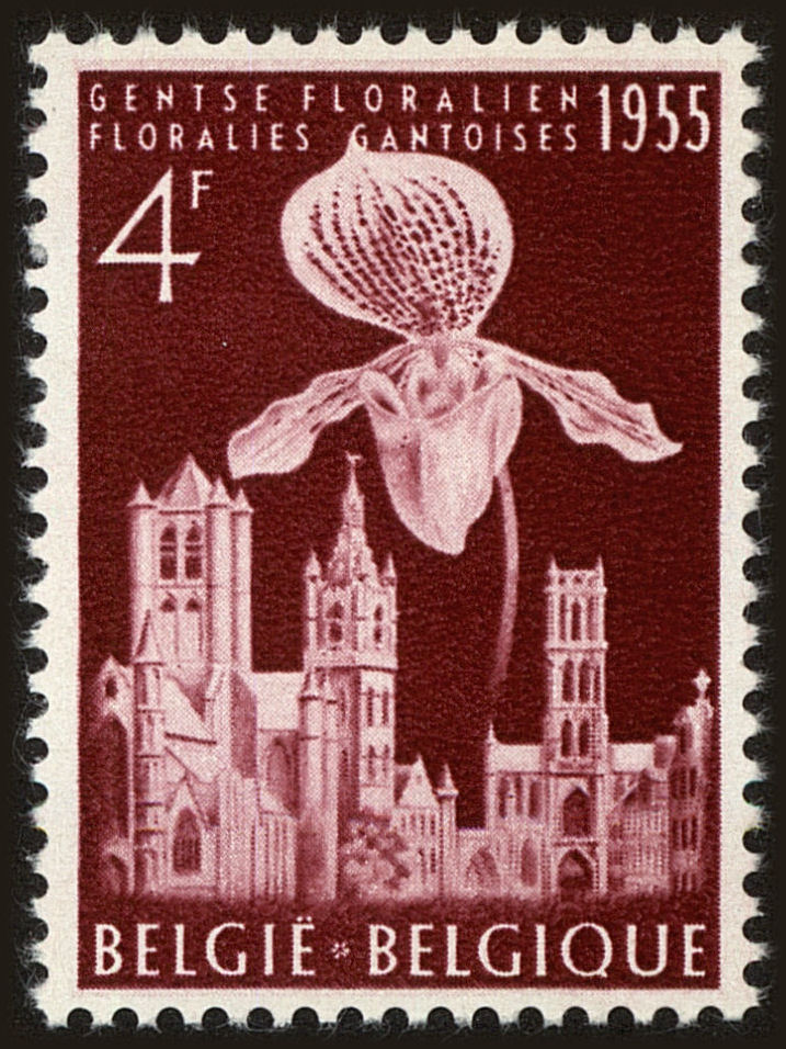 Front view of Belgium 484 collectors stamp