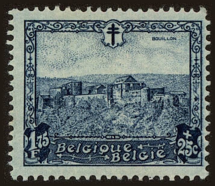 Front view of Belgium B104 collectors stamp