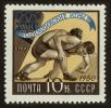 Stamp ID#79704 (1-92-489)