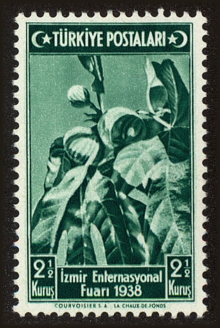 Front view of Turkey 791 collectors stamp